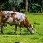 Extreme Sportfotografie und Reisefotografie in Österreich, Slowenien, Kroatien, Ungarn und Italien Die Extreme Sportfotografie bietet dir die Möglichkeit, spektakuläre und dynamische Momente festzuhalten, während du dich inmitten der atemberaubenden Natur Europas bewegst. Länder wie Österreich, Slowenien, Kroatien, Ungarn und Italien bieten eine unvergleichliche Kulisse für actiongeladene Szenen, die dich und deine Betrachter fesseln. Insbesondere die Steiermark in Österreich, mit ihren imposanten Bergen und weiten Tälern, ist ein Paradies für Sportler und Fotografen gleichermaßen. Fotograf Videograf Gleisdorf Graz Content Creator Autor Steiermark Österreich