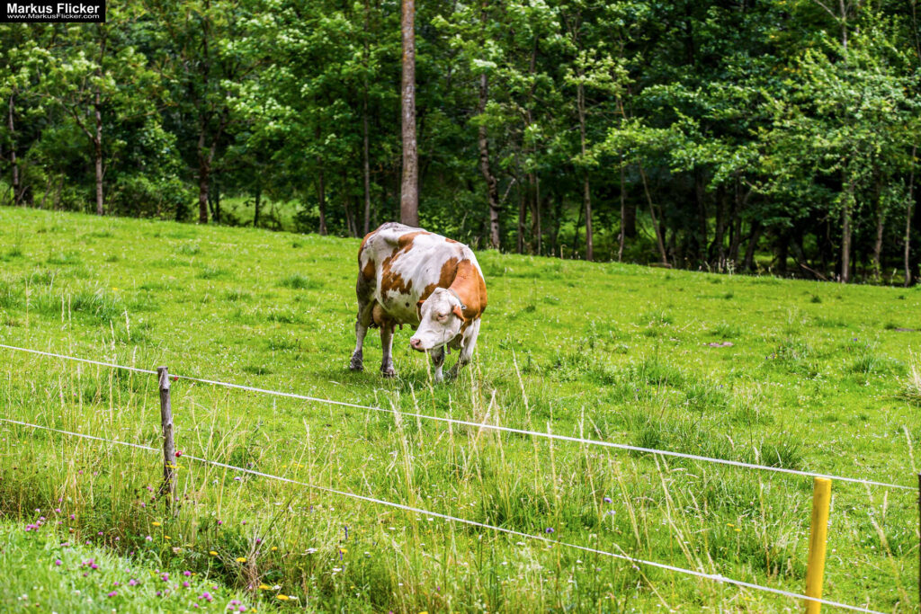 Extreme Sportfotografie und Reisefotografie in Österreich, Slowenien, Kroatien, Ungarn und Italien