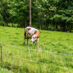 Extreme Sportfotografie und Reisefotografie in Österreich, Slowenien, Kroatien, Ungarn und Italien Die Extreme Sportfotografie bietet dir die Möglichkeit, spektakuläre und dynamische Momente festzuhalten, während du dich inmitten der atemberaubenden Natur Europas bewegst. Länder wie Österreich, Slowenien, Kroatien, Ungarn und Italien bieten eine unvergleichliche Kulisse für actiongeladene Szenen, die dich und deine Betrachter fesseln. Insbesondere die Steiermark in Österreich, mit ihren imposanten Bergen und weiten Tälern, ist ein Paradies für Sportler und Fotografen gleichermaßen. Fotograf Videograf Gleisdorf Graz Content Creator Autor Steiermark Österreich