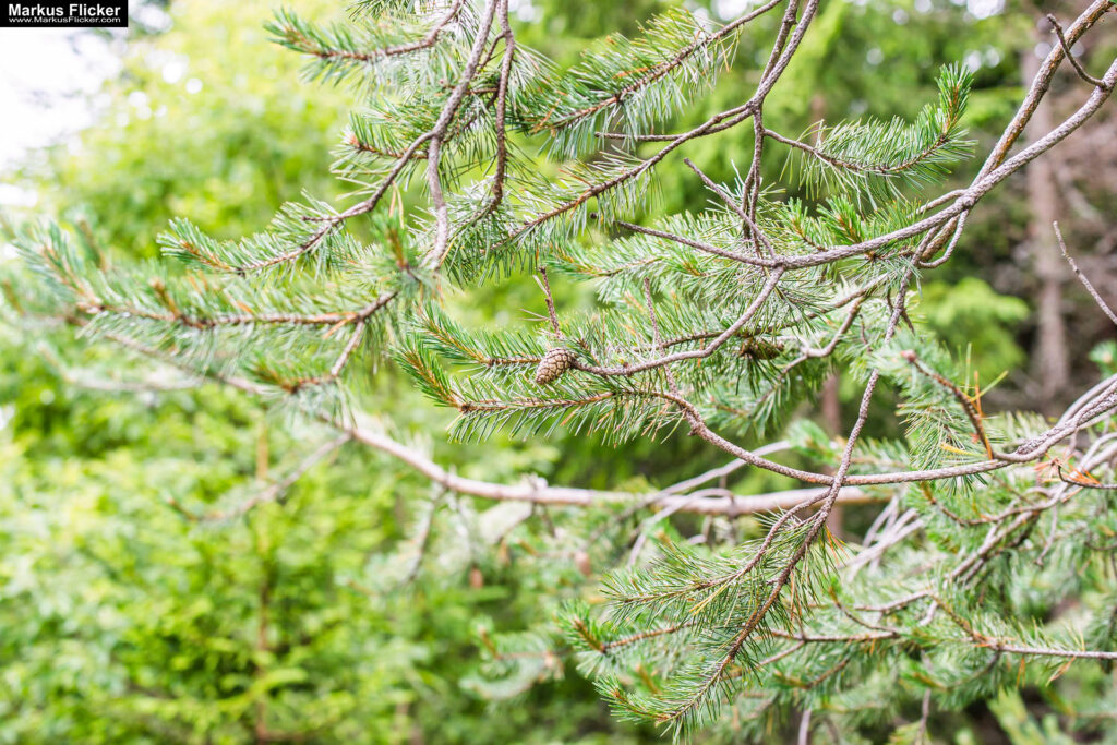 Extreme Sportfotografie und Reisefotografie in Österreich, Slowenien, Kroatien, Ungarn und Italien