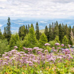 Extreme Sportfotografie und Reisefotografie in Österreich, Slowenien, Kroatien, Ungarn und Italien Die Extreme Sportfotografie bietet dir die Möglichkeit, spektakuläre und dynamische Momente festzuhalten, während du dich inmitten der atemberaubenden Natur Europas bewegst. Länder wie Österreich, Slowenien, Kroatien, Ungarn und Italien bieten eine unvergleichliche Kulisse für actiongeladene Szenen, die dich und deine Betrachter fesseln. Insbesondere die Steiermark in Österreich, mit ihren imposanten Bergen und weiten Tälern, ist ein Paradies für Sportler und Fotografen gleichermaßen. Fotograf Videograf Gleisdorf Graz Content Creator Autor Steiermark Österreich