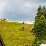 Extreme Sportfotografie und Reisefotografie in Österreich, Slowenien, Kroatien, Ungarn und Italien Die Extreme Sportfotografie bietet dir die Möglichkeit, spektakuläre und dynamische Momente festzuhalten, während du dich inmitten der atemberaubenden Natur Europas bewegst. Länder wie Österreich, Slowenien, Kroatien, Ungarn und Italien bieten eine unvergleichliche Kulisse für actiongeladene Szenen, die dich und deine Betrachter fesseln. Insbesondere die Steiermark in Österreich, mit ihren imposanten Bergen und weiten Tälern, ist ein Paradies für Sportler und Fotografen gleichermaßen. Fotograf Videograf Gleisdorf Graz Content Creator Autor Steiermark Österreich