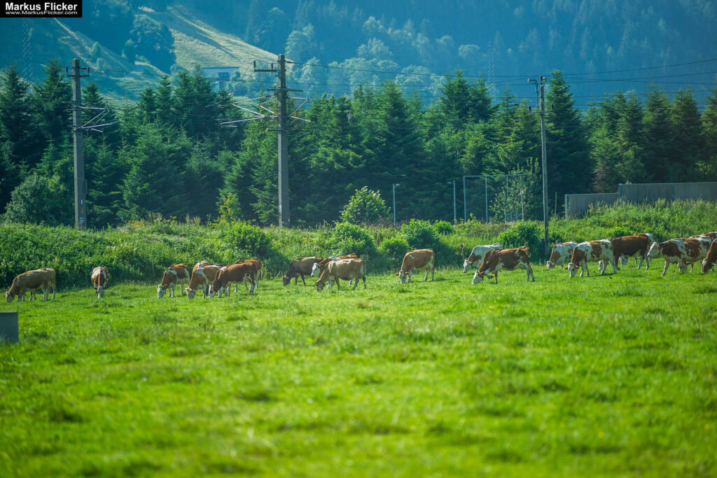 Extreme Sportfotografie und Reisefotografie in Österreich, Slowenien, Kroatien, Ungarn und Italien