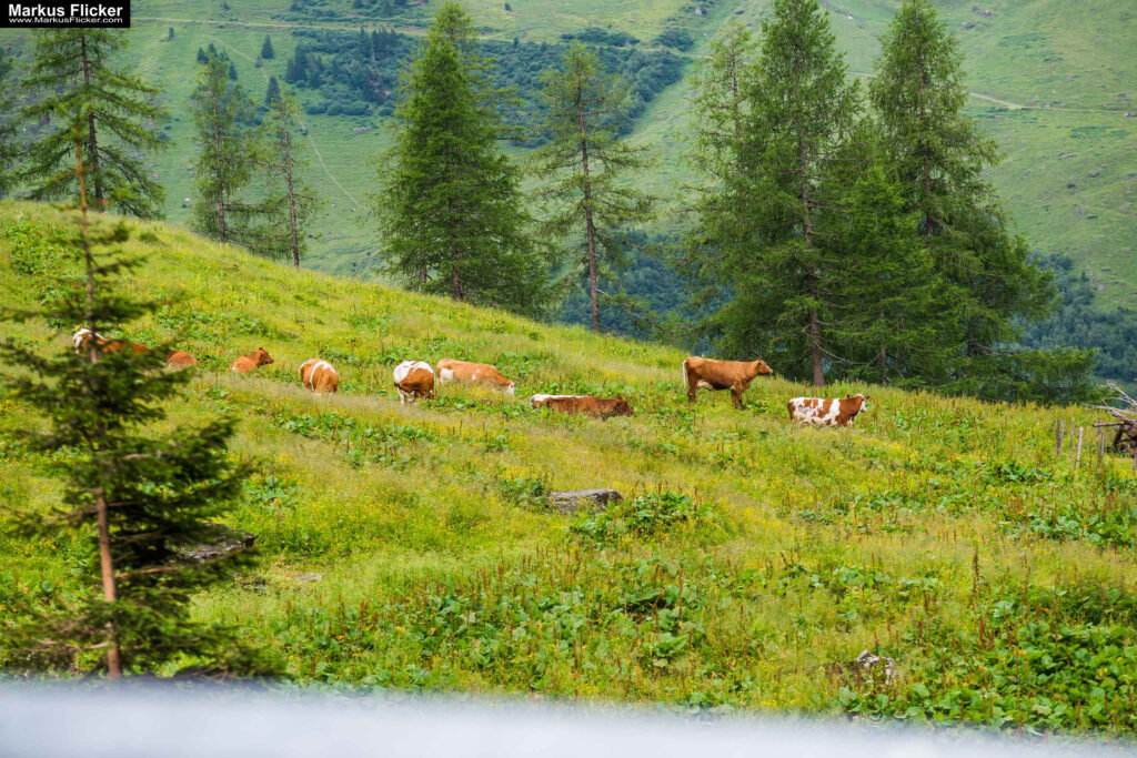 Extreme Sportfotografie und Reisefotografie in Österreich, Slowenien, Kroatien, Ungarn und Italien