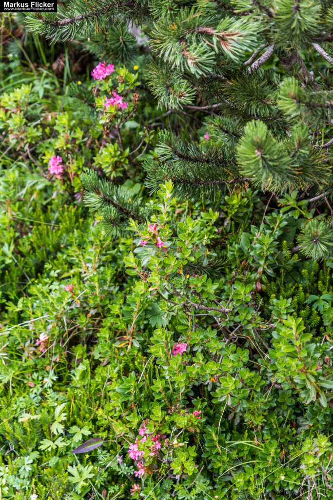 Extreme Sportfotografie und Reisefotografie in Österreich, Slowenien, Kroatien, Ungarn und Italien