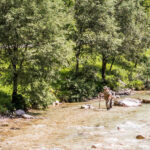Extreme Sportfotografie und Reisefotografie in Österreich, Slowenien, Kroatien, Ungarn und Italien Die Extreme Sportfotografie bietet dir die Möglichkeit, spektakuläre und dynamische Momente festzuhalten, während du dich inmitten der atemberaubenden Natur Europas bewegst. Länder wie Österreich, Slowenien, Kroatien, Ungarn und Italien bieten eine unvergleichliche Kulisse für actiongeladene Szenen, die dich und deine Betrachter fesseln. Insbesondere die Steiermark in Österreich, mit ihren imposanten Bergen und weiten Tälern, ist ein Paradies für Sportler und Fotografen gleichermaßen. Fotograf Videograf Gleisdorf Graz Content Creator Autor Steiermark Österreich