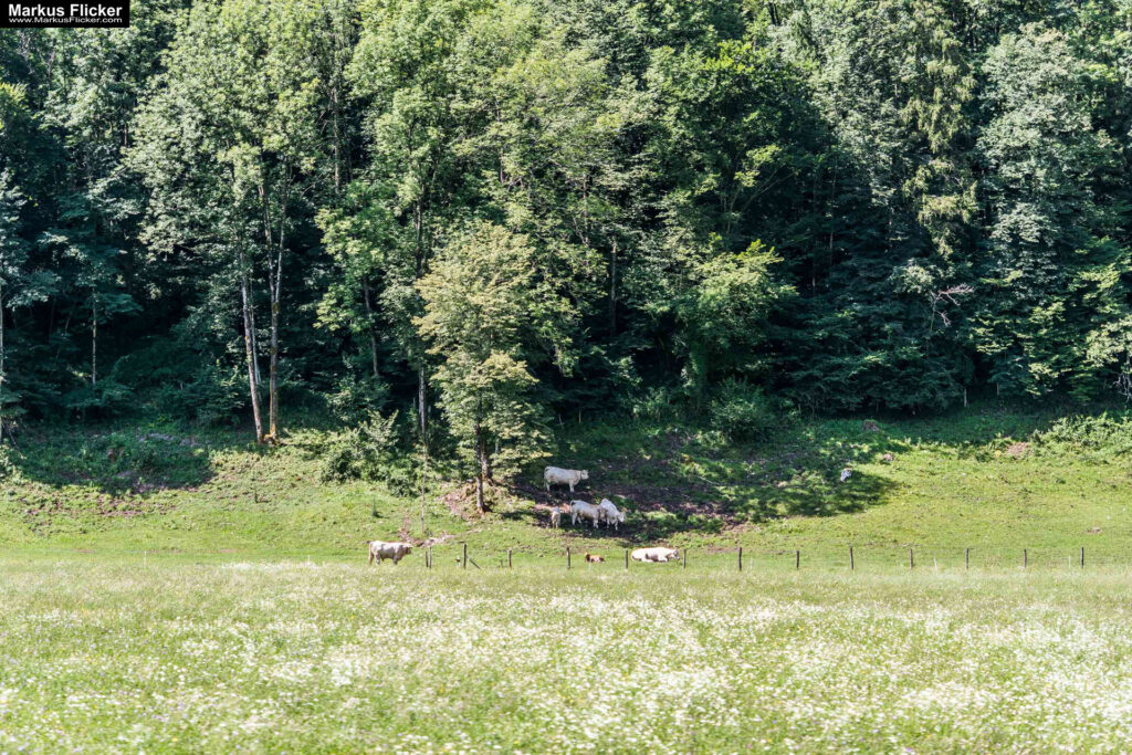 Extreme Sportfotografie und Reisefotografie in Österreich, Slowenien, Kroatien, Ungarn und Italien