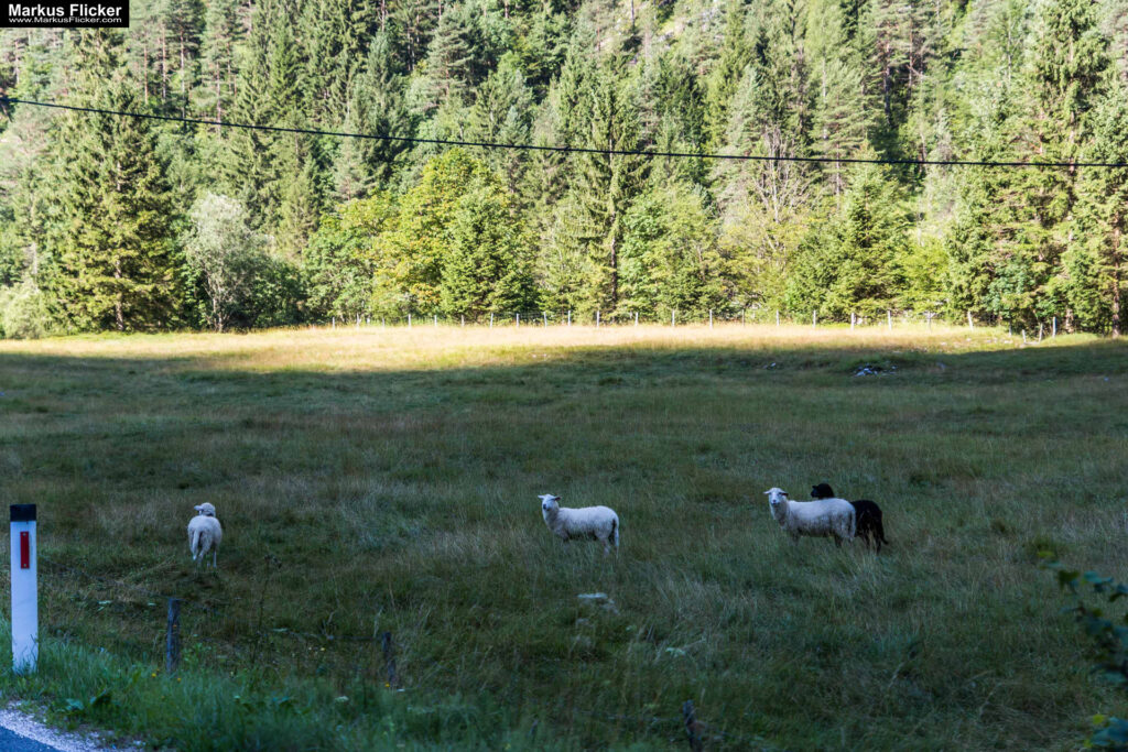 Extreme Sportfotografie und Reisefotografie in Österreich, Slowenien, Kroatien, Ungarn und Italien