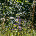 Extreme Sportfotografie und Reisefotografie in Österreich, Slowenien, Kroatien, Ungarn und Italien Die Extreme Sportfotografie bietet dir die Möglichkeit, spektakuläre und dynamische Momente festzuhalten, während du dich inmitten der atemberaubenden Natur Europas bewegst. Länder wie Österreich, Slowenien, Kroatien, Ungarn und Italien bieten eine unvergleichliche Kulisse für actiongeladene Szenen, die dich und deine Betrachter fesseln. Insbesondere die Steiermark in Österreich, mit ihren imposanten Bergen und weiten Tälern, ist ein Paradies für Sportler und Fotografen gleichermaßen. Fotograf Videograf Gleisdorf Graz Content Creator Autor Steiermark Österreich