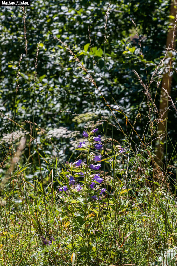 Extreme Sportfotografie und Reisefotografie in Österreich, Slowenien, Kroatien, Ungarn und Italien