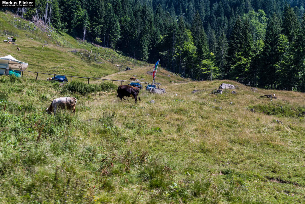 Extreme Sportfotografie und Reisefotografie in Österreich, Slowenien, Kroatien, Ungarn und Italien