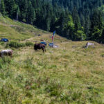 Extreme Sportfotografie und Reisefotografie in Österreich, Slowenien, Kroatien, Ungarn und Italien Die Extreme Sportfotografie bietet dir die Möglichkeit, spektakuläre und dynamische Momente festzuhalten, während du dich inmitten der atemberaubenden Natur Europas bewegst. Länder wie Österreich, Slowenien, Kroatien, Ungarn und Italien bieten eine unvergleichliche Kulisse für actiongeladene Szenen, die dich und deine Betrachter fesseln. Insbesondere die Steiermark in Österreich, mit ihren imposanten Bergen und weiten Tälern, ist ein Paradies für Sportler und Fotografen gleichermaßen. Fotograf Videograf Gleisdorf Graz Content Creator Autor Steiermark Österreich