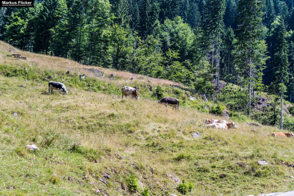 Extreme Sportfotografie und Reisefotografie in Österreich, Slowenien, Kroatien, Ungarn und Italien
