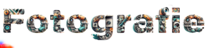 Erste Tests und Versuche mit Adobe Firefly Generative Machine Learning AI. KI für Kreative