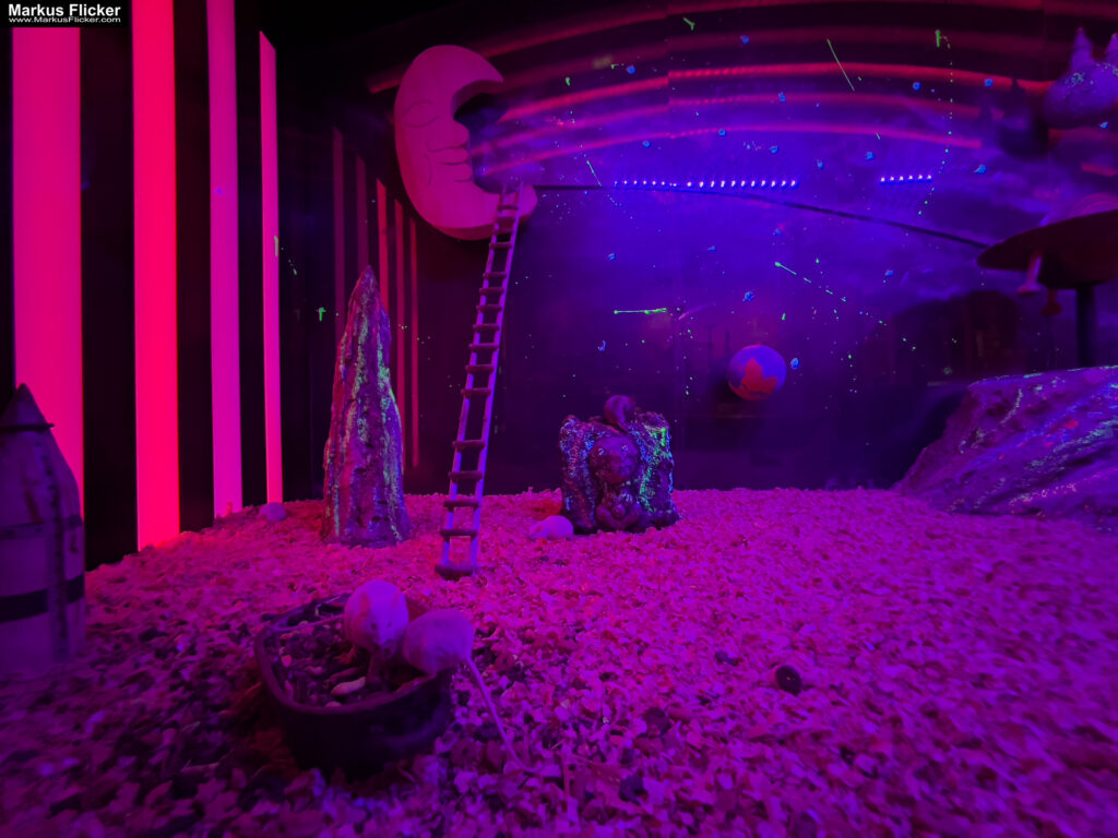 MYSZOGRÓD ZAKOPANE Skurrile Attraktion mit einer von lebenden Mäusen bevölkerten Miniaturlandschaft mit Häusern, Dörfern, Eisenbahnstrecke & Skigebiet