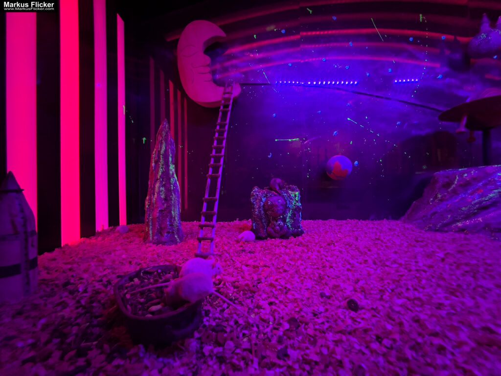 MYSZOGRÓD ZAKOPANE Skurrile Attraktion mit einer von lebenden Mäusen bevölkerten Miniaturlandschaft mit Häusern, Dörfern, Eisenbahnstrecke & Skigebiet