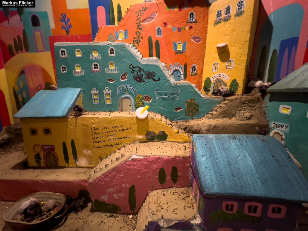 MYSZOGRÓD ZAKOPANE Skurrile Attraktion mit einer von lebenden Mäusen bevölkerten Miniaturlandschaft mit Häusern, Dörfern, Eisenbahnstrecke & Skigebiet