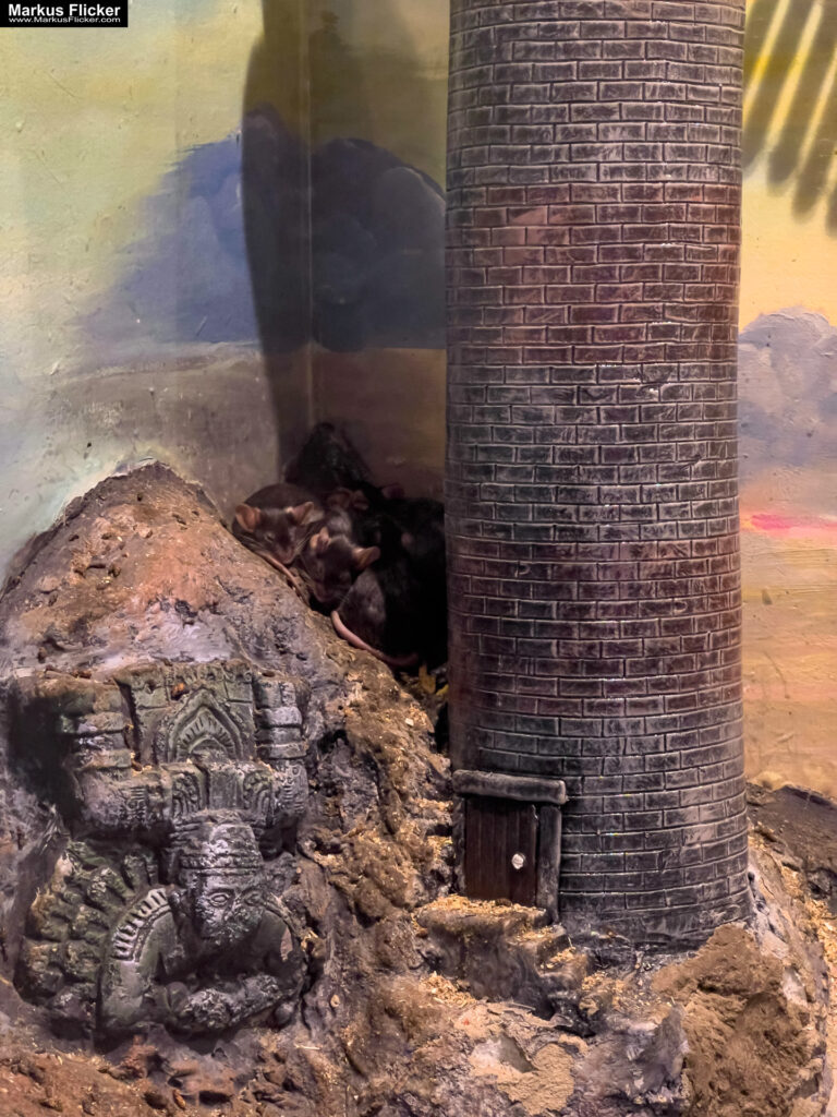 MYSZOGRÓD ZAKOPANE Skurrile Attraktion mit einer von lebenden Mäusen bevölkerten Miniaturlandschaft mit Häusern, Dörfern, Eisenbahnstrecke & Skigebiet