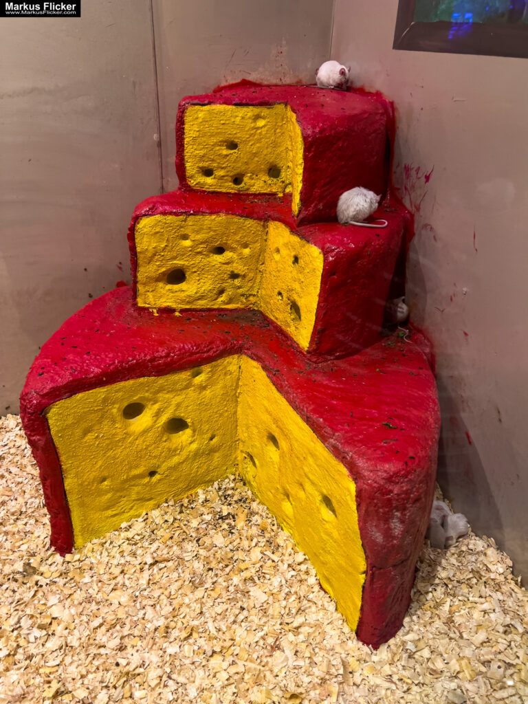 MYSZOGRÓD ZAKOPANE Skurrile Attraktion mit einer von lebenden Mäusen bevölkerten Miniaturlandschaft mit Häusern, Dörfern, Eisenbahnstrecke & Skigebiet