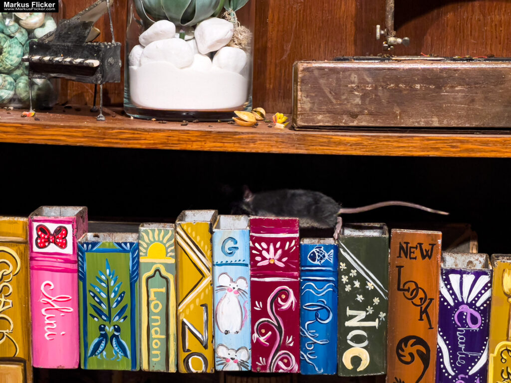 MYSZOGRÓD ZAKOPANE Skurrile Attraktion mit einer von lebenden Mäusen bevölkerten Miniaturlandschaft mit Häusern, Dörfern, Eisenbahnstrecke & Skigebiet