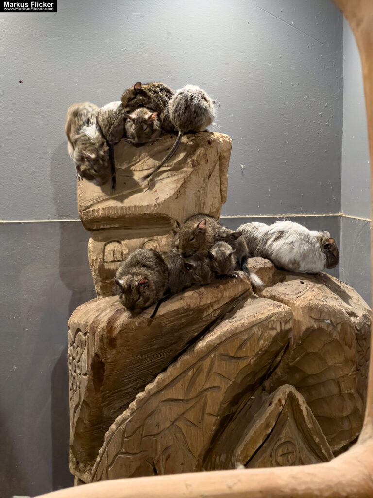 MYSZOGRÓD ZAKOPANE Skurrile Attraktion mit einer von lebenden Mäusen bevölkerten Miniaturlandschaft mit Häusern, Dörfern, Eisenbahnstrecke & Skigebiet