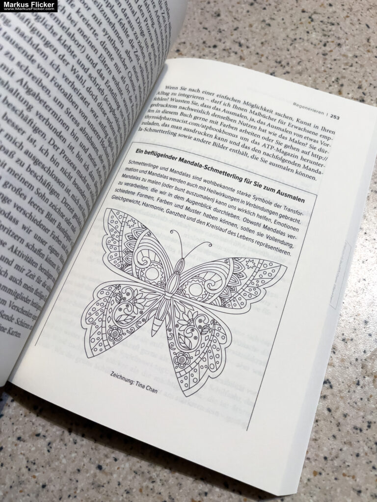 Die Nebennieren im Griff: Grundlos müde, ausgelaugt und gestresst? Das 4-Wochen-Programm bei Nebennierenschwäche von Izabella Wentz VAK Verlag