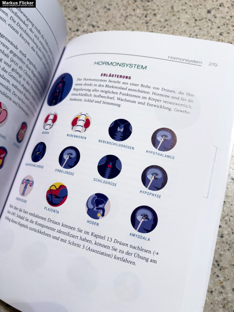 Der Body Code: So aktivieren Sie Ihre Selbstheilungskräfte von Bradley Nelson