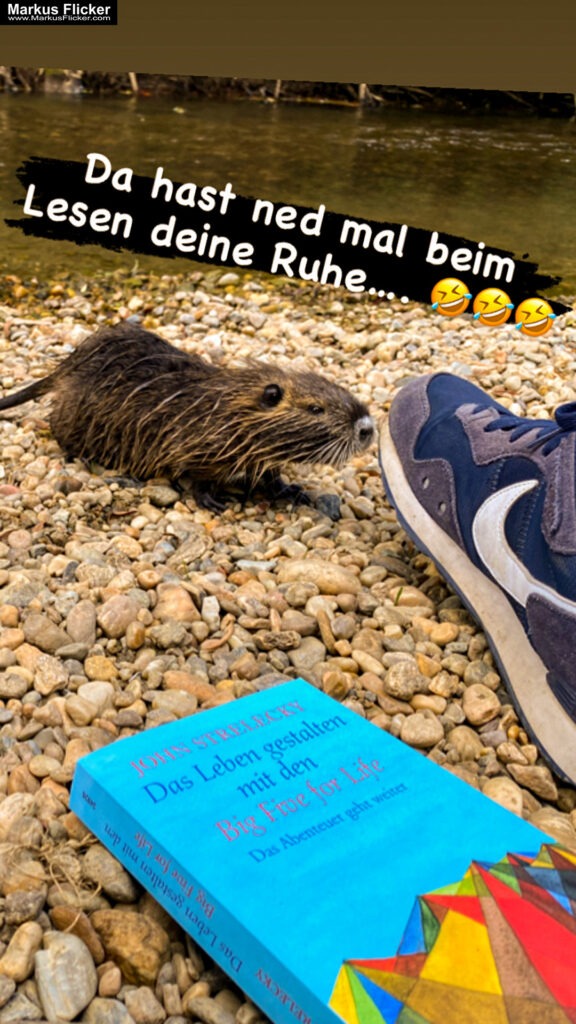 Fotograf Videograf Contentcreator Author Photography Videography Graz Austria Advertising Image editing Workshops Travel Blog Styria Finding and creating visual solutions for your company Founded in 2012 Werbeagentur Marketingagentur