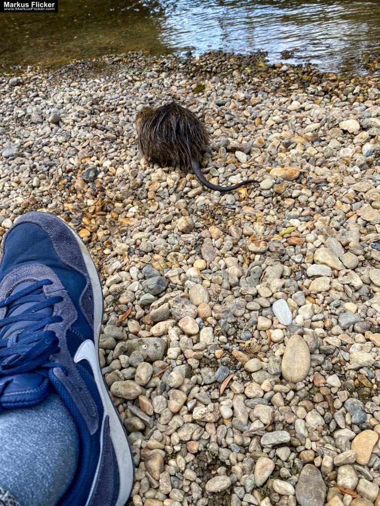 Fotograf Videograf Contentcreator Author Photography Videography Graz Austria Advertising Image editing Workshops Travel Blog Styria Finding and creating visual solutions for your company Founded in 2012 Werbeagentur Marketingagentur