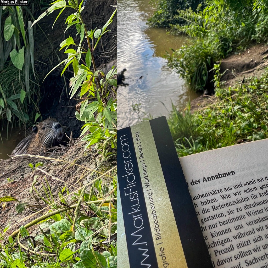 Markus Flicker Fotograf Videograf Contentcreator Autor Fotografie Videografie Graz Österreich Werbung Bildbearbeitung Workshops Reiseblog Steiermark Visuelle Lösungen für Ihr Unternehmen finden und erstellen Gegründet 2012 Werbeagentur Marketingagentur