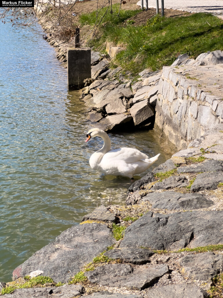 Maribor Marburg an der Drau Drava in Slowenien Roadtrip Städtereise #ifeelsLOVEnia #visitmaribor