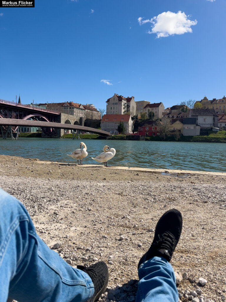 Maribor Marburg an der Drau Drava in Slowenien Roadtrip Städtereise #ifeelsLOVEnia #visitmaribor