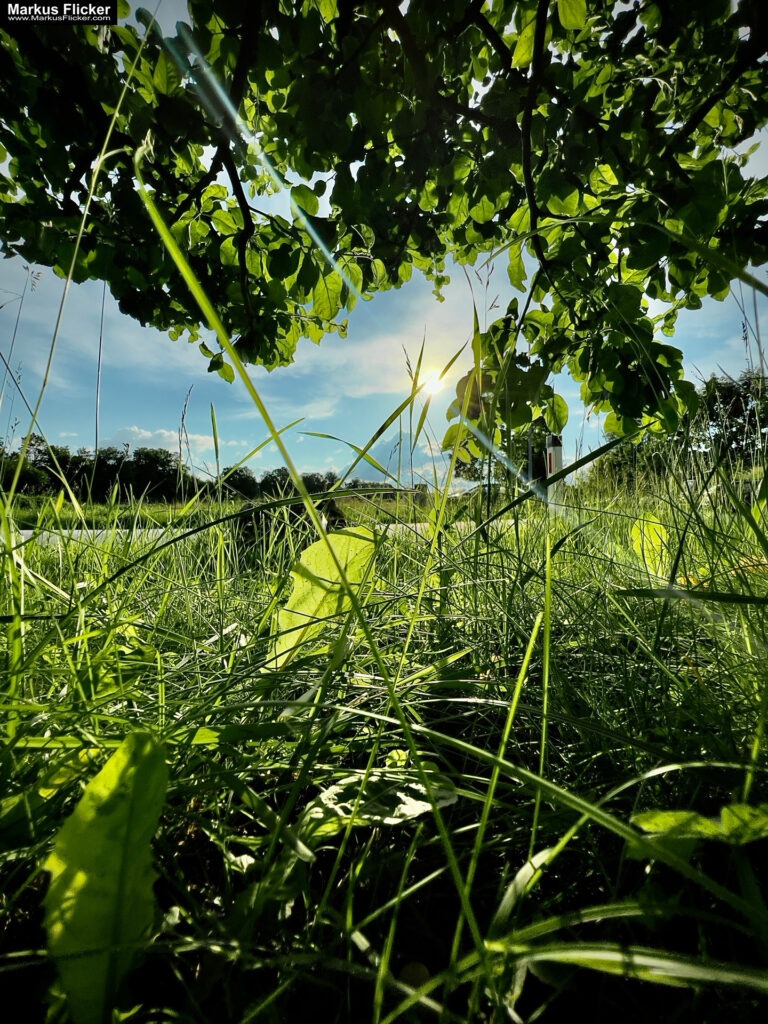 Move Your Ass! Das beste Teleobjektiv sind deine Beine! Neu Perspektive durch Bewegung. Smartphone Foto Tipp. Fotografieren und Filmen mit dem Smartphone: Bessere Fotos und Videos mit dem Handy für Freizeit, Hobby und Business