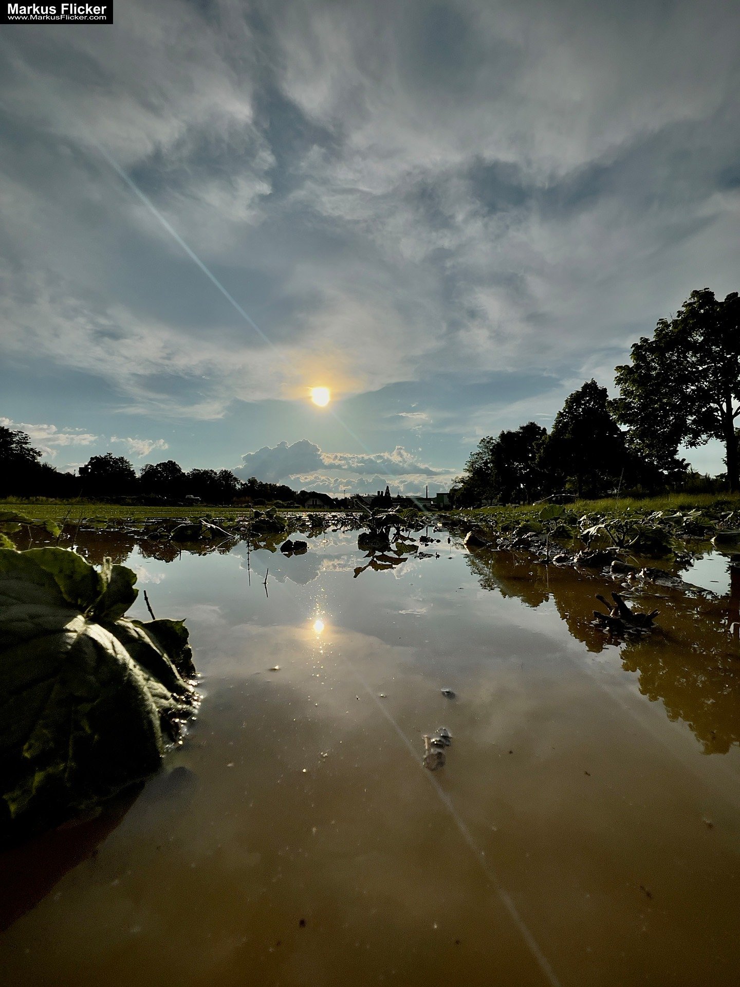 Move Your Ass! Das beste Teleobjektiv sind deine Beine! Neu Perspektive durch Bewegung. Smartphone Foto Tipp. Fotografieren und Filmen mit dem Smartphone: Bessere Fotos und Videos mit dem Handy für Freizeit, Hobby und Business