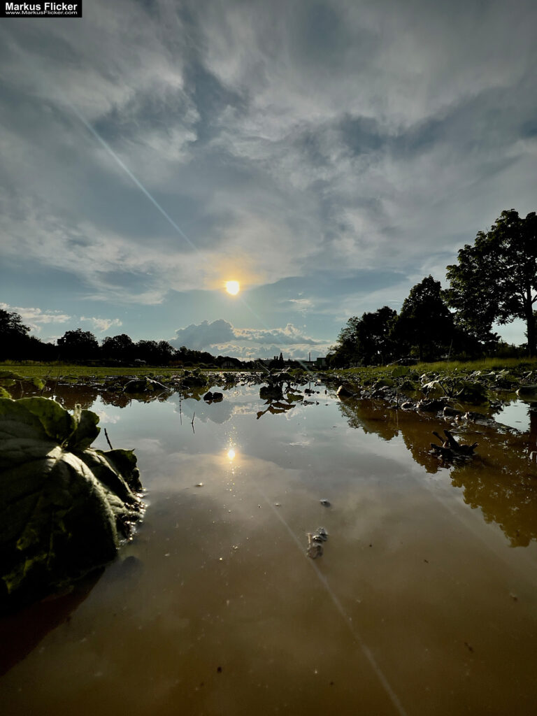 Move Your Ass! Das beste Teleobjektiv sind deine Beine! Neu Perspektive durch Bewegung. Smartphone Foto Tipp. Fotografieren und Filmen mit dem Smartphone: Bessere Fotos und Videos mit dem Handy für Freizeit, Hobby und Business