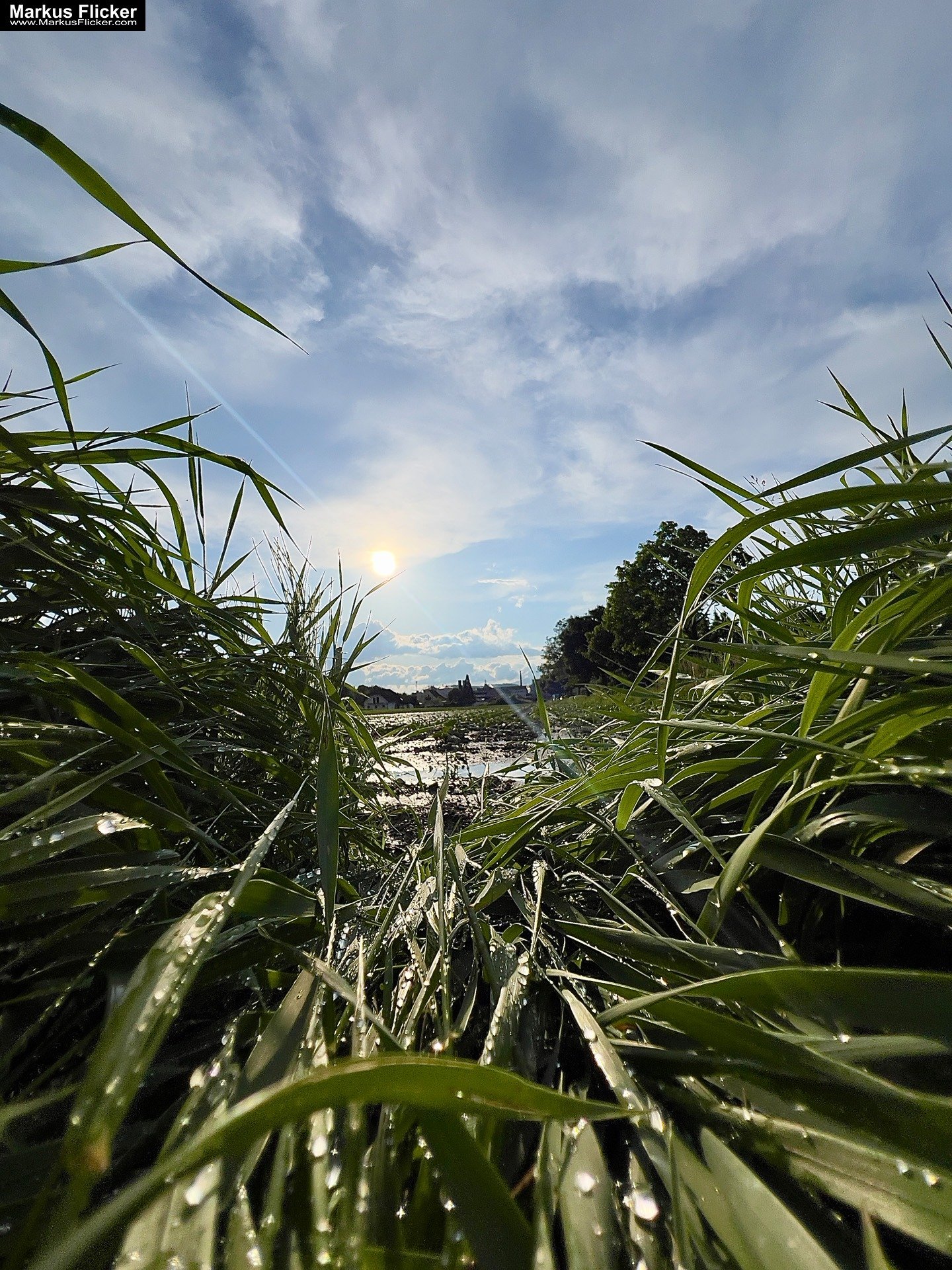 Move Your Ass! Das beste Teleobjektiv sind deine Beine! Neu Perspektive durch Bewegung. Smartphone Foto Tipp. Fotografieren und Filmen mit dem Smartphone: Bessere Fotos und Videos mit dem Handy für Freizeit, Hobby und Business