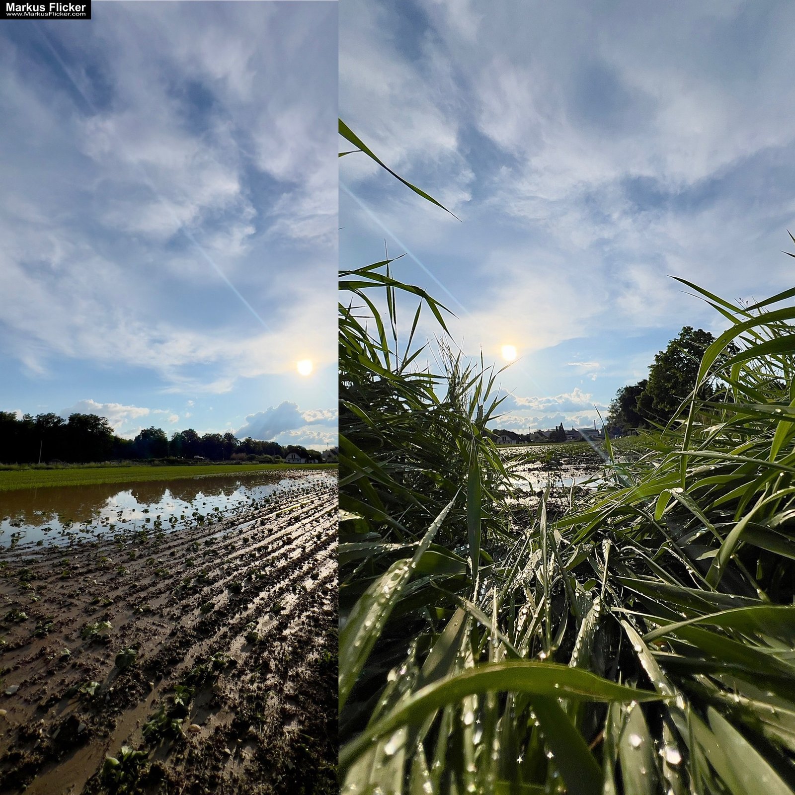 Move Your Ass! Das beste Teleobjektiv sind deine Beine! Neu Perspektive durch Bewegung. Smartphone Foto Tipp. Fotografieren und Filmen mit dem Smartphone: Bessere Fotos und Videos mit dem Handy für Freizeit, Hobby und Business