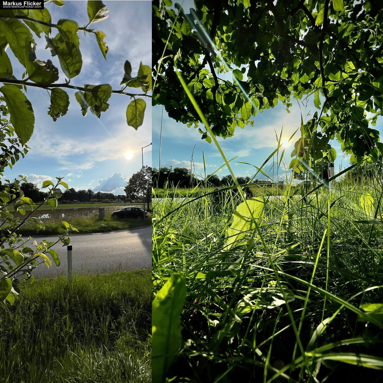 Move Your Ass! Das beste Teleobjektiv sind deine Beine! Neu Perspektive durch Bewegung. Smartphone Foto Tipp. Fotografieren und Filmen mit dem Smartphone: Bessere Fotos und Videos mit dem Handy für Freizeit, Hobby und Business