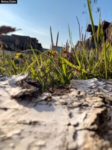 Landschaftsfotografie: Landschaftskomposition, Filter, Belichtung, Verwendung von Stativen