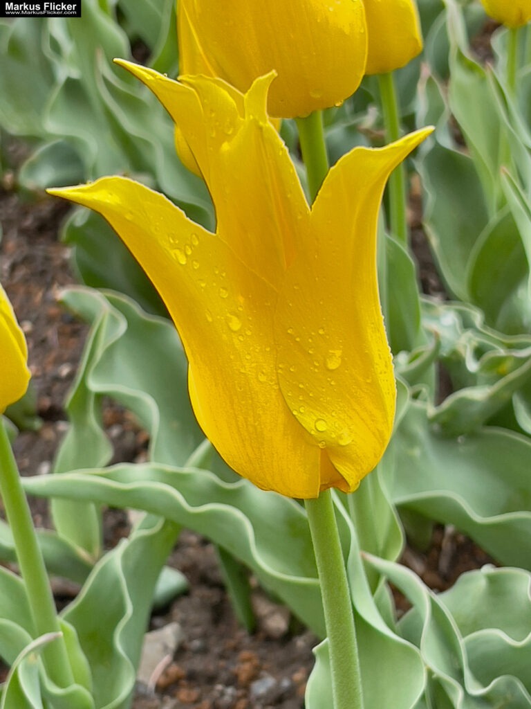 Landschaftsfotografie: Landschaftskomposition, Filter, Belichtung, Verwendung von Stativen inkl. 37 Tipps & Tricks Landschaftsfotografie: Landschaftskomposition, Filter, Belichtung, Verwendung von Stativen