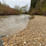 Landschaftsfotografie: Landschaftskomposition, Filter, Belichtung, Verwendung von Stativen