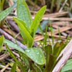 Landschaftsfotografie: Landschaftskomposition, Filter, Belichtung, Verwendung von Stativen