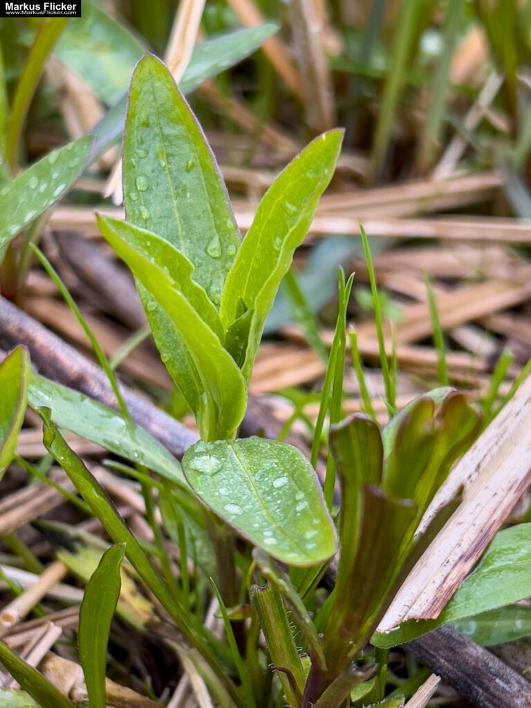 Landschaftsfotografie: Landschaftskomposition, Filter, Belichtung, Verwendung von Stativen inkl. 37 Tipps & Tricks Landschaftsfotografie: Landschaftskomposition, Filter, Belichtung, Verwendung von Stativen