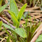 Landschaftsfotografie: Landschaftskomposition, Filter, Belichtung, Verwendung von Stativen