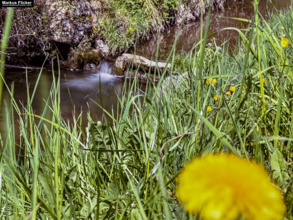 Landschaftsfotografie: Landschaftskomposition, Filter, Belichtung, Verwendung von Stativen inkl. 37 Tipps & Tricks Landschaftsfotografie: Landschaftskomposition, Filter, Belichtung, Verwendung von Stativen