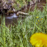 Landschaftsfotografie: Landschaftskomposition, Filter, Belichtung, Verwendung von Stativen