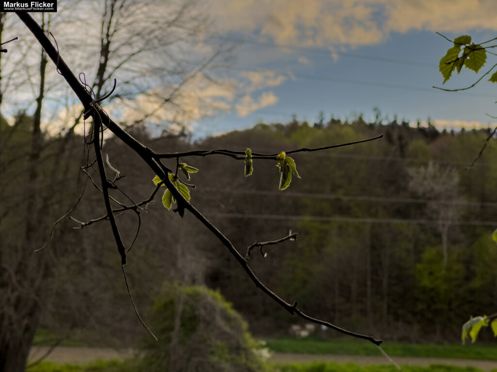 Landschaftsfotografie: Landschaftskomposition, Filter, Belichtung, Verwendung von Stativen inkl. 37 Tipps & Tricks Landschaftsfotografie: Landschaftskomposition, Filter, Belichtung, Verwendung von Stativen