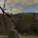 Landschaftsfotografie: Landschaftskomposition, Filter, Belichtung, Verwendung von Stativen