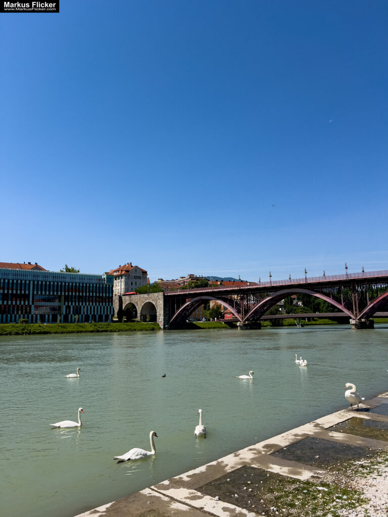 Maribor Marburg an der Drau Drava in Slowenien Roadtrip Städtereise #ifeelsLOVEnia #visitmaribor