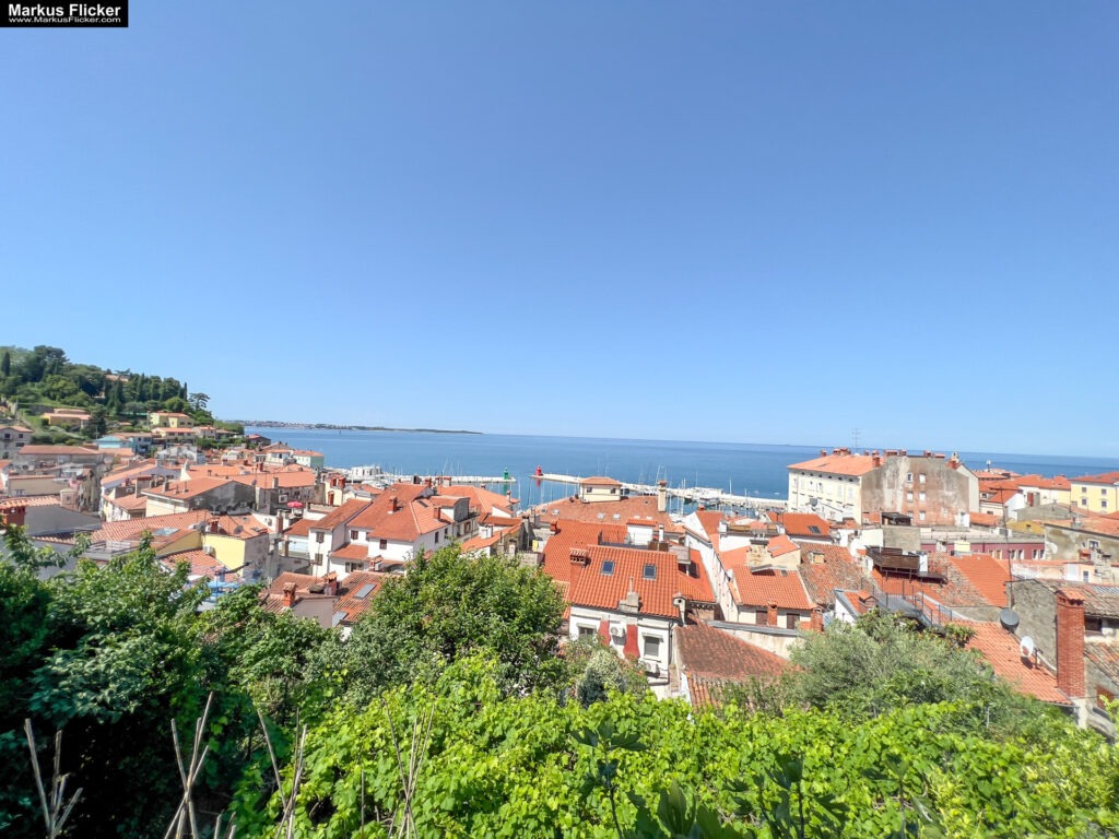 Piran am Meer in Slowenien an der Adria Istrien Hafenstadt #FeelSlovenia #piran #ifeelsLOVEnia #myway